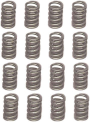 Small-Block-Valve-Springs---Set-of-16-204316-Corvette-Store-Online