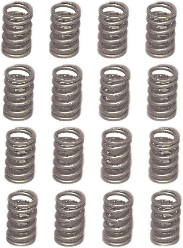 Small-Block-Valve-Springs---Set-of-16-204316-Corvette-Store-Online