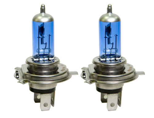 Super-White-Halogen-Headlight-Bulbs---100/90-Watt-204337-Corvette-Store-Online