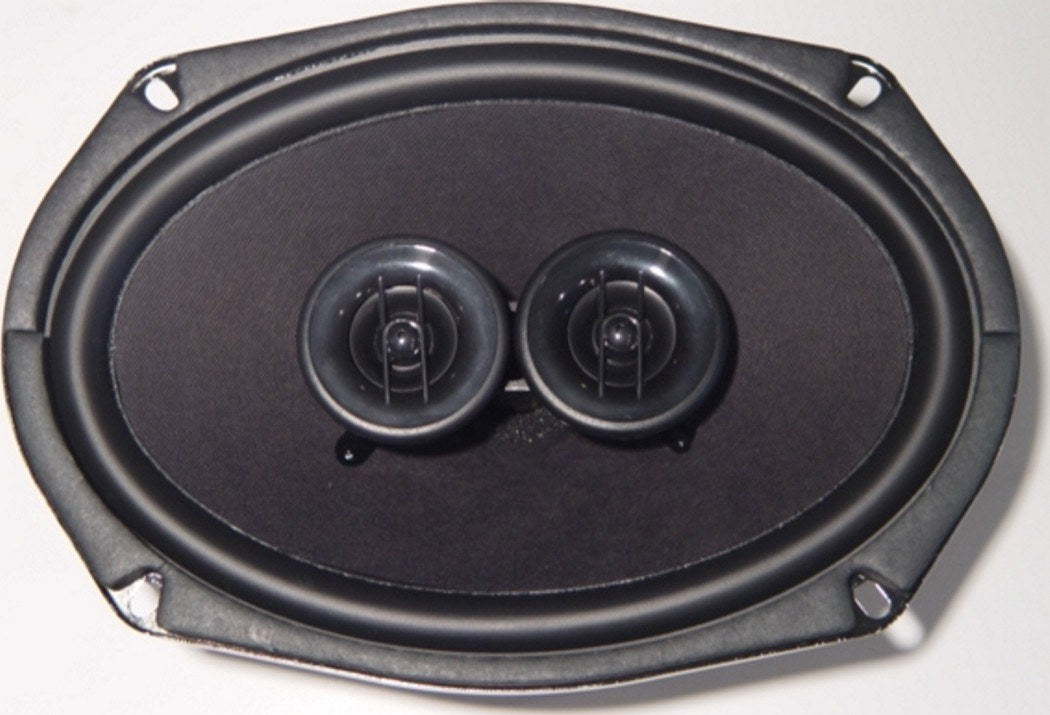 Custom Autosound 3006 DVC dual voice coil speaker
