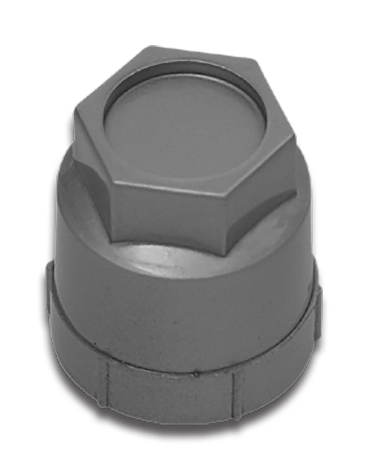 1988-1996 Corvette Lug Nut Cap. Silver - CA-30820-Corvette-Store-Online