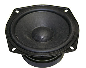 Custom Autosound 31005 DVC dual voice coil speaker
