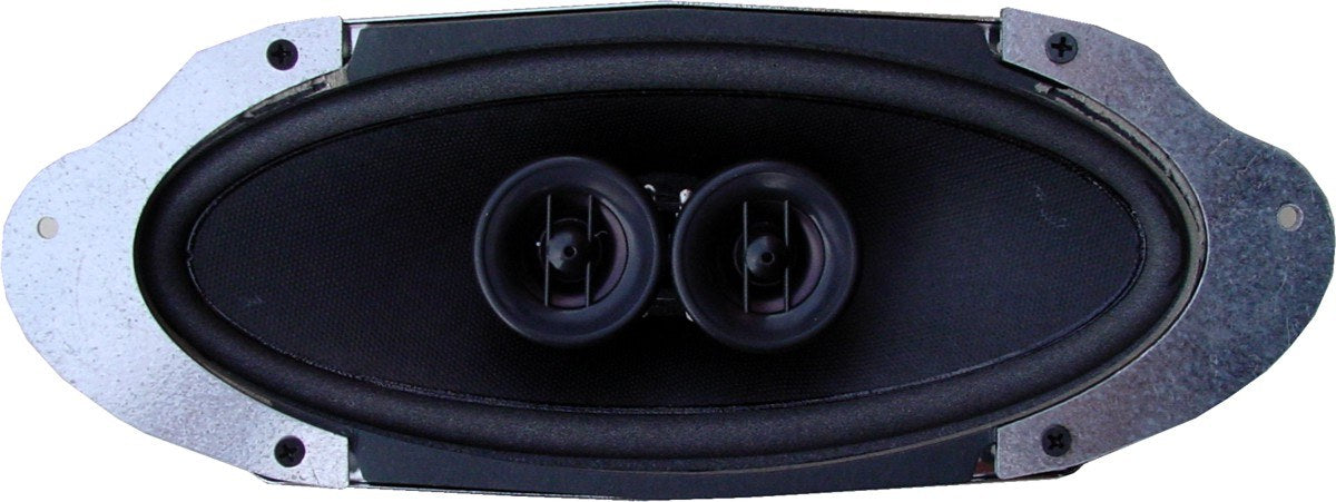 Custom Autosound 4004 DVC dual voice coil speaker