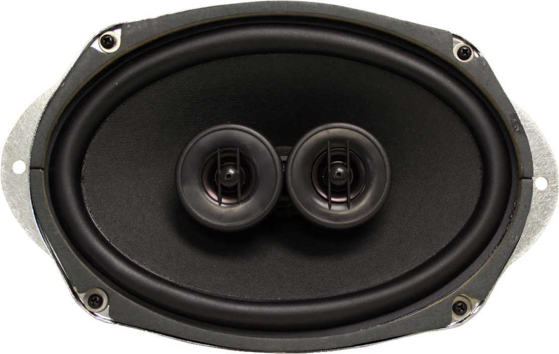 Custom Autosound 4012 DVC dual voice coil speaker