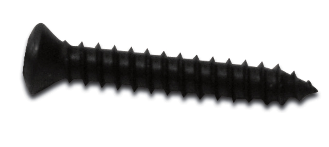 1984-1996 Corvette Inside Mirror Mounting Screw. - CA-43248-Corvette-Store-Online
