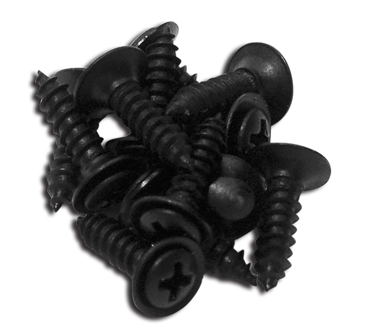 1978-1982 Corvette Rear Window Screws. 12 Piece - CA-K1148-Corvette-Store-Online