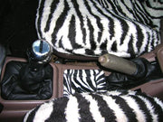 1988-92 Mazda MX6 shift boot