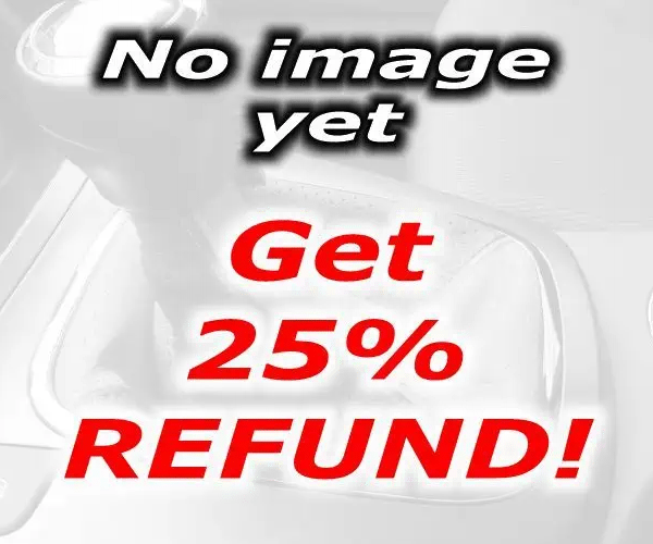 2005-10 Dodge Charger Armrest Cover - Type 3