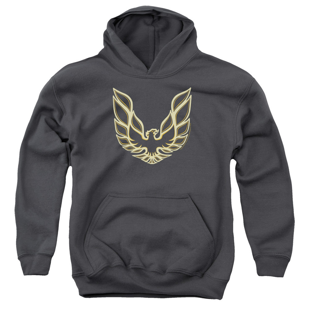 Pontiac Iconic Firebird Youth Hooded Sweatshirt - Charcoal