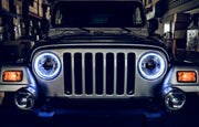 Photo - Close Up