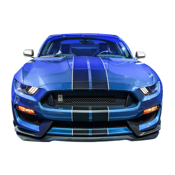 shelby-gt350r-mustangs-made-in-the-usa-metal-sign-economy-corvette-store-online